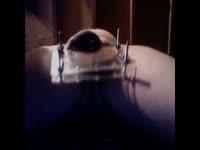 Dude suffers through incredible pain as woman tightens bdsm device around his bare nuts
